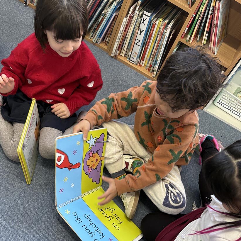 SS Curriculum - Library