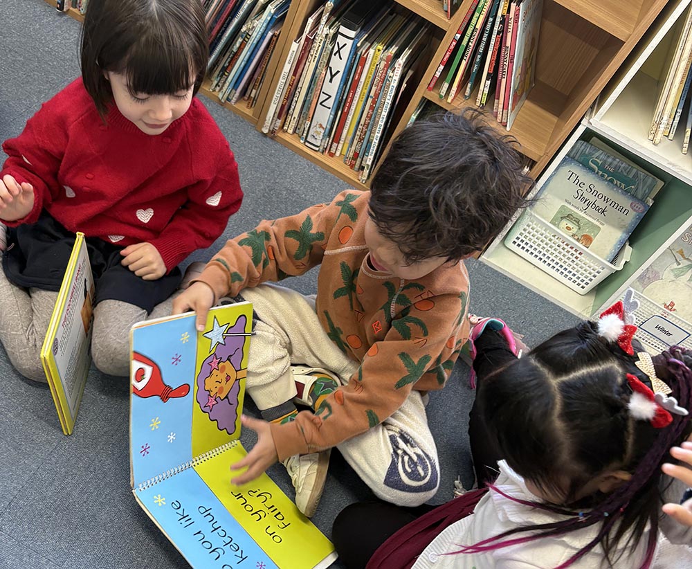 SS Curriculum - Library