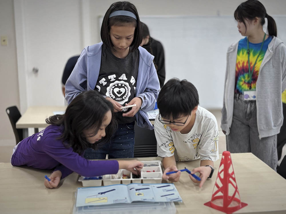 SS Curriculum - STEM (1)